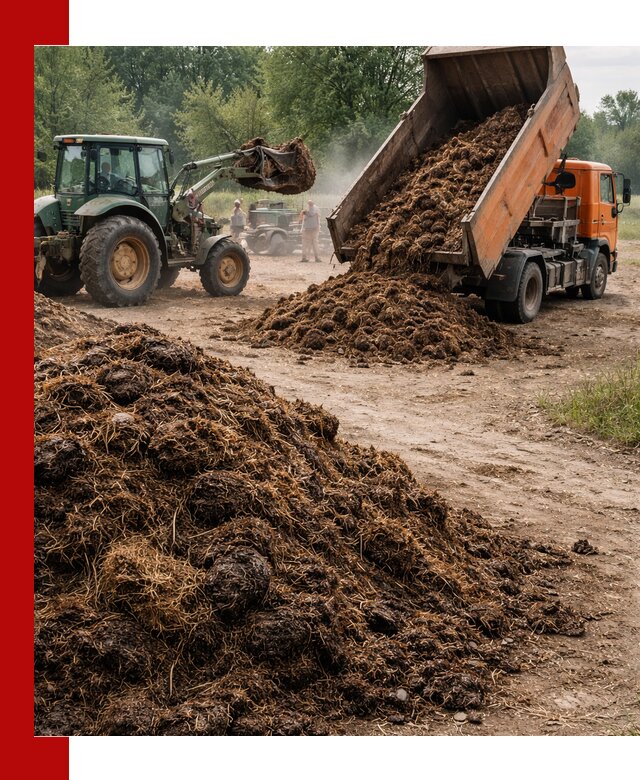 Доставка навоза самосвалами в Бийске для сельхозпотребностей